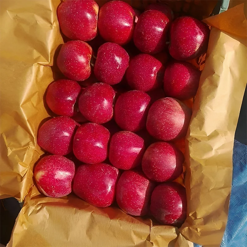 Dezhkord Apples