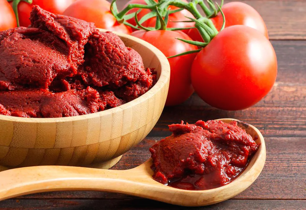 Import Tomato Paste from Iran - Shiraz