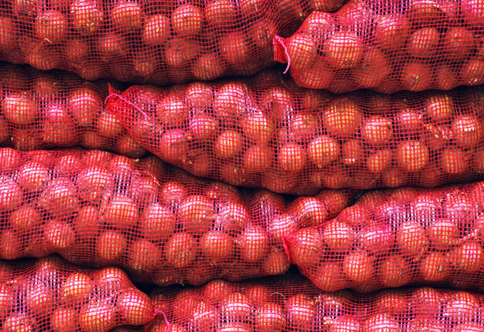 Import-Onions-from-Iran-Fars
