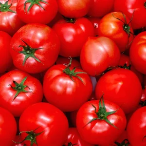 Tomato-from-Iran